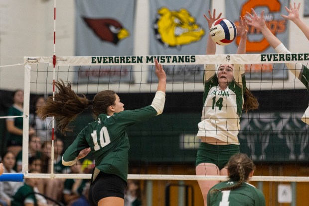 Oak Lawn's Sinead Conroy (14) blocks a tip from Evergreen Park's Fiona Buchanan (10) during a South Suburban Red game in Evergreen Park on Thursday, Oct. 17, 2024. (Vincent D. Johnson / for the Daily Southtown)