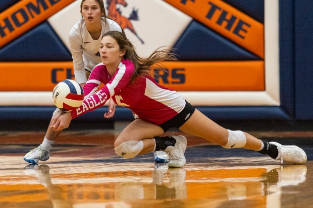 Sandburg's Lucie Chicvara (5) hits the deck for dig against Stagg during a Southwest Suburban game in Palos Hills on Wednesday, Oct. 16, 2024. (Vincent D. Johnson / for the Daily Southtown)