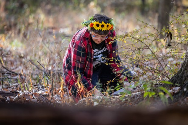 Kate Peltz wears a forest elf fairy Halloween costume while collecting fungi with the Illinois Mycological Association at the St. Mihiel Woods-East nature preserve in Tinley Park on Oct. 26, 2024. (Tess Crowley/Chicago Tribune)