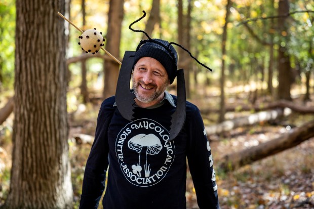 President of the Illinois Mycological Association Matt Nelsen wears a fungi-infected ant Halloween costume while collecting fungi at the St. Mihiel Woods-East nature preserve. (Tess Crowley/Chicago Tribune)