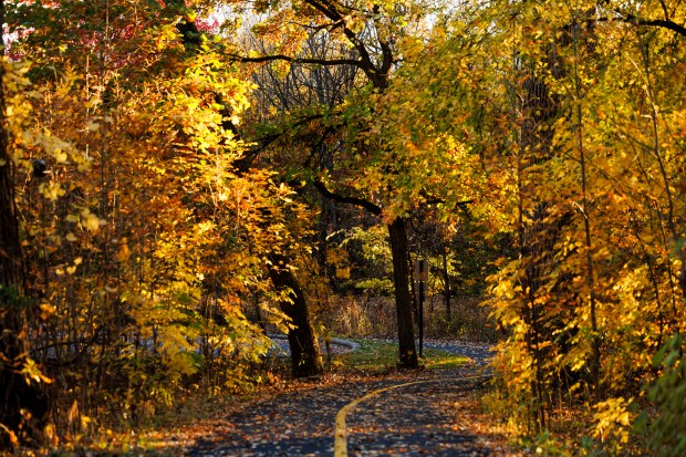 The sun sets on a trail in York Woods on Oct. 27, 2024, in Oak Brook. (Armando L. Sanchez/Chicago Tribune)