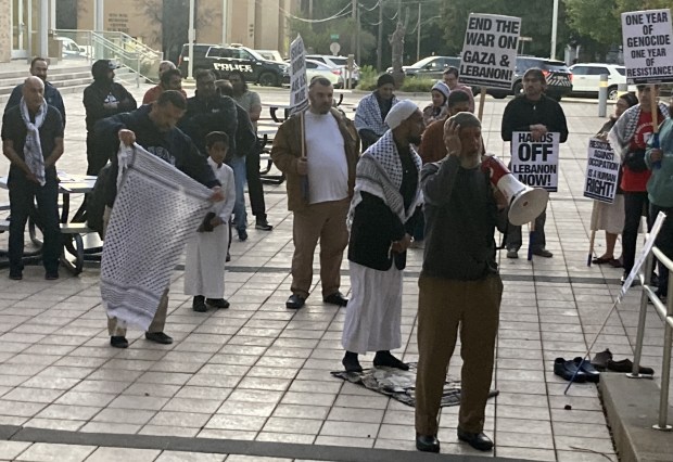 Demonstrators protest the Middle East war. (Steve Sadin/For the Lake County News-Sun)