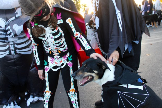 Bevyn Mangas-Friend, 8, and family, of Northbrook, won thespookiest costume contest during the 3rd Annual Halloween Pet Parade and costume contest hosted by the Northbrook Park District Oct. 25, 2024, at Techny Prairie Park and Fields. (Gina Grillo/for Pioneer Press)