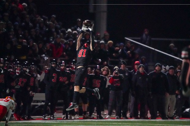 Lincoln-Way Central's Lucas Andresen (81) makes a catch against Batavia during a Class 7A state semifinal football game at Lincoln-Way Central High School on Saturday, Nov 23, 2024. (Sean King / for The Beacon-News)