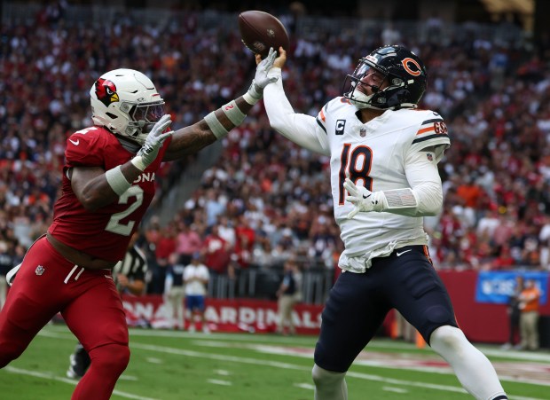 Chicago Bears quarterback Caleb Williams (18) throws under pressure from Arizona Cardinals linebacker Mack Wilson Sr. (2) in the first quarter Sunday, Nov. 3, 2024, at State Farm Stadium in Glendale, Arizona. (Brian Cassella/Chicago Tribune)