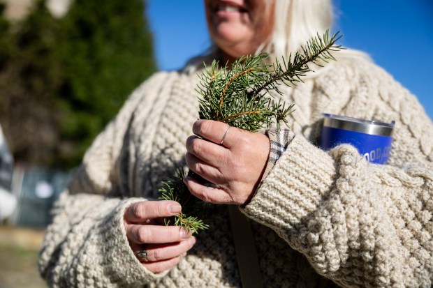 Former resident Gerrie Mulligan holds needles she picked up from the ground after Chicago's 2024 Christmas tree, a 53-foot Colorado blue spruce planted 50 years ago by her father, former homeowner Jim Mulligan, was cut down in the Logan Square neighborhood of Chicago on Nov. 1, 2024. Gerrie grew up in the house and watched her father plant the tree. Jim died in 2022. (Tess Crowley/Chicago Tribune)