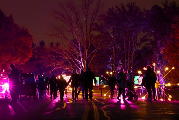 People walk along the Starlit Trail area at Illumination at the Morton Arboretum on Nov. 17, 2024, in Lisle. (Stacey Wescott/Chicago Tribune)