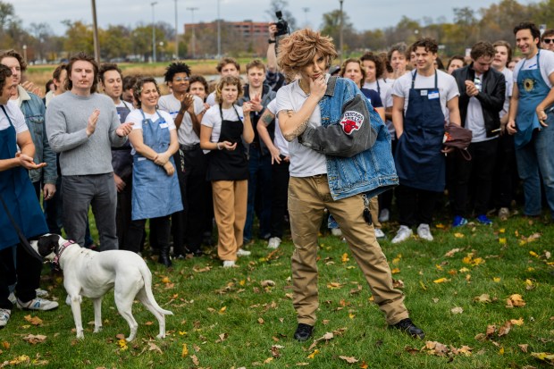 People participate in a Jeremy Allen White lookalike competition at Humboldt Park in Chicago on Nov. 16, 2024. (Tess Crowley/Chicago Tribune)