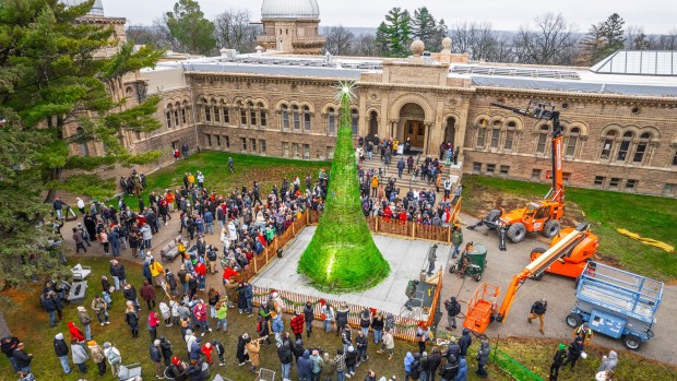 Community art organizers and visitors plan to use recycled glass to build a 36-foot tree in December. This is the third year the event has been held at Yerkes Observatory in Williams Bay, Wisconsin. (The World's Tallest Glass Tree)