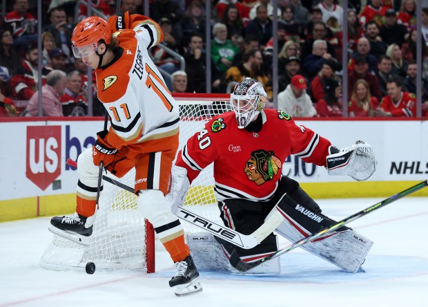 Chicago Blackhawks goaltender Arvid Soderblom (40) defends the goal as Anaheim Ducks center Trevor Zegras (11) tries to score in the second period of a game at the United Center in Chicago on Nov. 19, 2024. (Chris Sweda/Chicago Tribune)