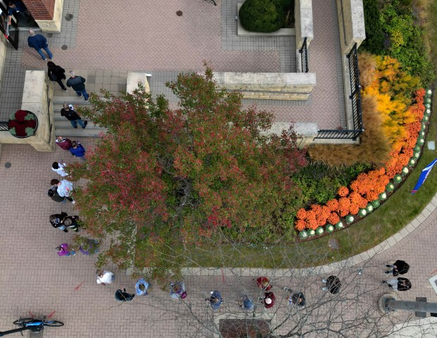 More than two dozen people line up outside the Arlington Heights Village Hall to vote early on Oct. 28, 2024. Election judge Cathy Vitale-Sweeney said the turnout on the first day of early voting was the highest they've ever seen with 1,148 ballots. (Stacey Wescott/Chicago Tribune)