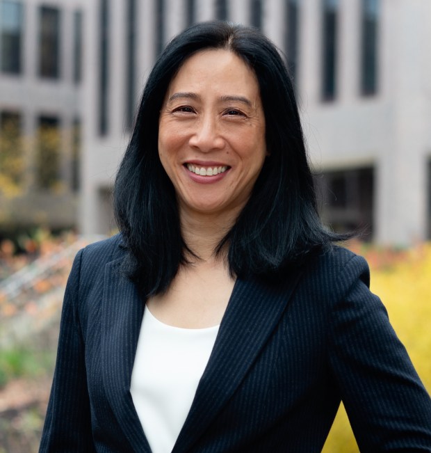 DuPage County Board member Lucy Chang Evans, D-Naperville, represents District 3. (Supplied photo)