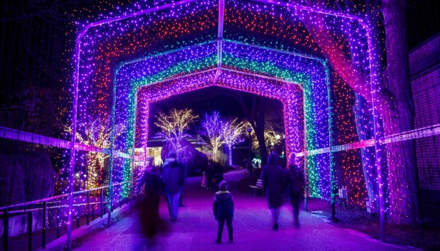 Visitors walk through Chicago's Lincoln Park Zoo during ZooLights in 2021.