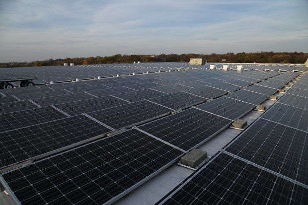 Solar panels on the roof of Abt in Glenview on Oct. 29, 2024. (Karie Angell Luc/Pioneer Press)