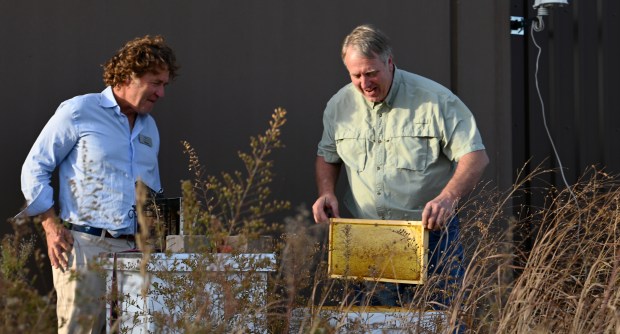 From left, on the roof of Abt in Glenview, near the bee hives, are Mike Abt, Abt Electronics co-president, with Brian Thomson of North Barrington, co-president of Honey Lake Bee Company of North Barrington, on Oct. 29, 2024. (Karie Angell Luc/for Pioneer Press)