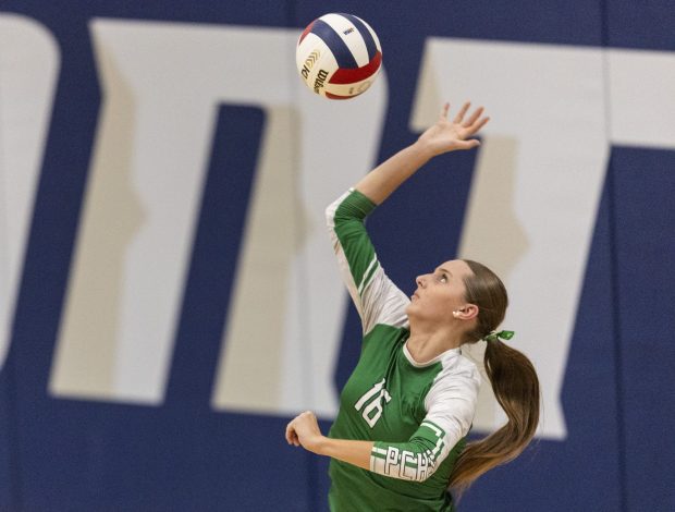 Providence's Cali Tierney (16) serves against Limestone during the Class 3A Pontiac Supersectional in Pontiac on Monday, Nov. 11, 2024. (Vincent D. Johnson / for the Daily Southtown)