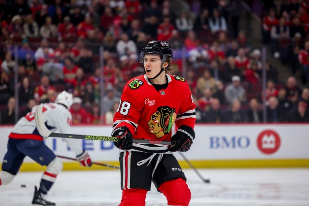 Chicago Blackhawks center Connor Bedard (98) yells towards a referee during the first period against the Washington Capitals at the United Center Tuesday Dec. 17, 2024, in Chicago. (Armando L. Sanchez/Chicago Tribune)