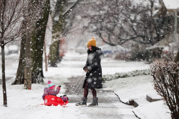 Nanny Alma Delgado pulls Maggie Wall on a sled along Gunderson Avenue in Oak Park on Jan. 9, 2024. (Eileen T. Meslar/Chicago Tribune)