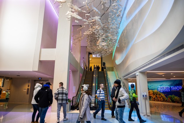 People walk in the updated entranceway, featuring a sculpture by David Franklin representing five different species of Great Lakes fish, at the Shedd Aquarium in Chicago on Dec. 6, 2024. (Tess Crowley/Chicago Tribune)