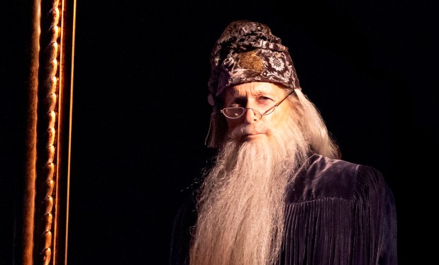 Larry Yando in the production of "Harry Potter and the Cursed Child" at Chicago's Nederlander Theatre. (Matthew Murphy)