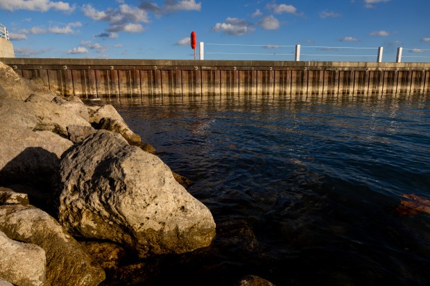 Lake levels are low near Diversey Harbor in Chicago on Nov. 19, 2024. (Tess Crowley/Chicago Tribune)