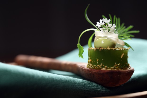 The first course on the tasting menu reimagines chips and salsa with a spoon holding a tortilla crumble, a salsa verde jelly and so much more at Cariño in Chicago on Aug. 29, 2024.(Terrence Antonio James/Chicago Tribune)