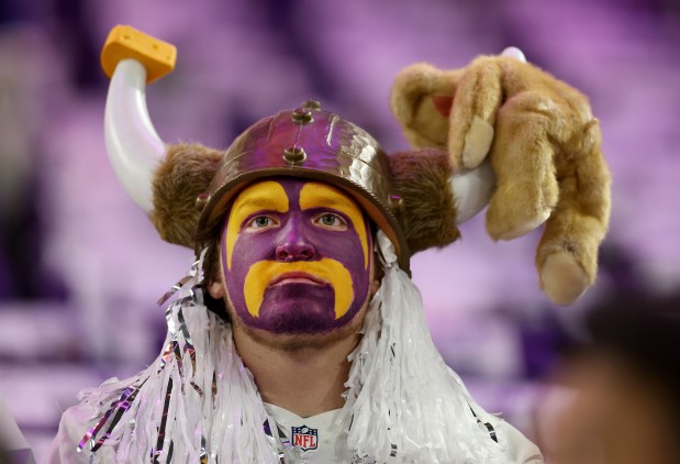 A Minnesota Vikings fan wears an outfit featuring a piece of cheese and a bear impaled on its horns prior to a game between the Vikings and the Chicago Bears on Dec. 16, 2024. (Chris Sweda/Chicago Tribune)