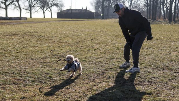 Aaron Vargas plays with his dog, Otis, in Lincoln Park near Belmont Harbor on Dec. 30, 2024. (Eileen T. Meslar/Chicago Tribune)