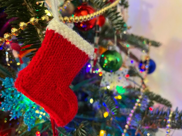 Once the festivities are over, your gaily decorated live Christmas tree can go on to do good for plants if it is ground up for compost or mulch. (Beth Botts/The Morton Arboretum)