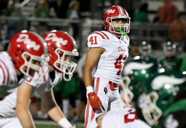 Crown Point linebacker Niko Pavlou (41) prior to a play during the Bulldogs' game against the Vikings in Valparaiso, Indiana Friday Sept. 27, 2024. Crown Point went on to win 41-7. (Andy Lavalley for the Post-Tribune)