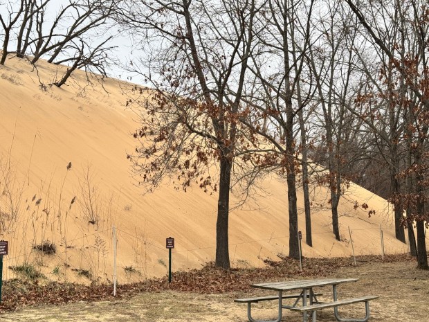 Where visitors once ran down the south face of Mount Baldy, pictured on Wednesday, Dec. 18, 2024, visitors are now urged to keep off the dunes. Visitors traipsing off established trails can harm the ecosystem. (Doug Ross/for Post-Tribune)