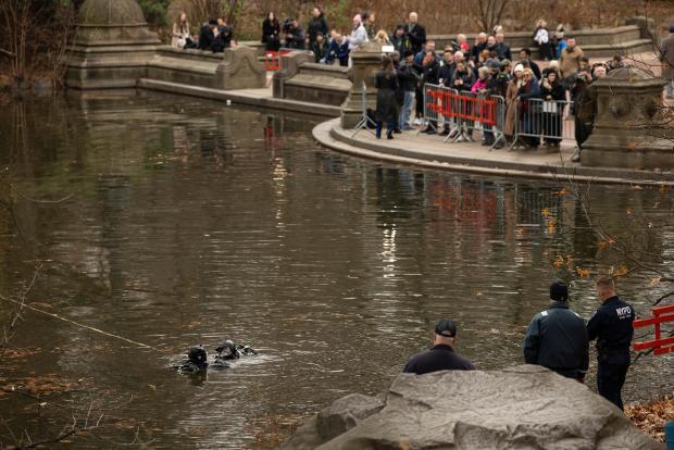 NYPD officers in diving suits search a lake in Central Park, Monday, Dec. 9, 2024, in New York. (AP Photo/Yuki Iwamura)