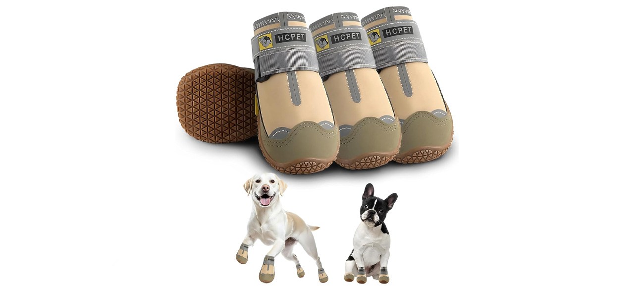 HCPet Dog Shoes