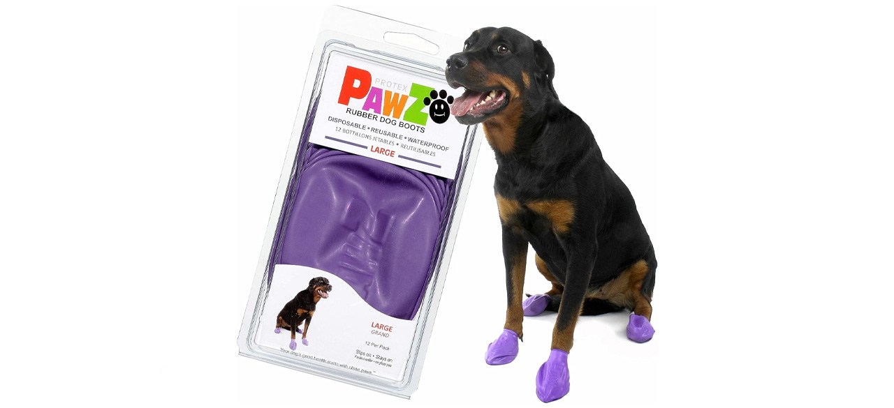 Pawz Waterproof Dog Boots