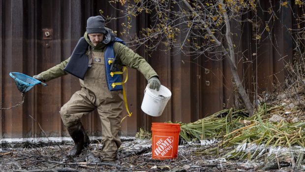 Stephen Meyer, a volunteer coordinator with the nonprofit Urban Rivers, cleans up perlite, a white insulation material used in construction, from the bank of the Chicago River at Division Street on Dec. 18, 2024, after demolition work Saturday at the former Chicago Tribune Freedom Center sent debris into the water. Videos shared on social media showed a crane bring down a wall, causing white granular material to spill into the river and bring protective netting down with it. (Brian Cassella/Chicago Tribune)