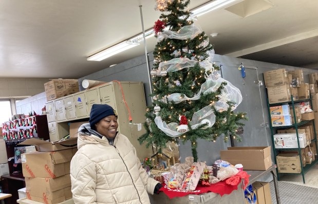 Alicia Williams peruses food choices. (Steve Sadin/For the Lake County News-Sun)