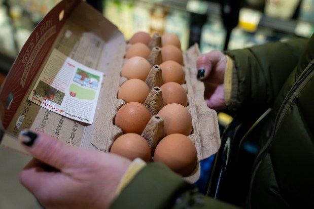 Cindy Bronski, who lives in Chicago, checks her eggs for damage at Whole Foods on Cicero Avenue on Jan. 28, 2025. Bronski paid $13.99 for a dozen eggs. "I mean, this is terrible," she said. (Audrey Richardson/Chicago Tribune)