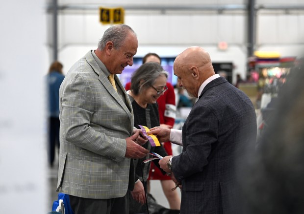 "Very happy, all the work pays off," said, on left, handler Celso Schneider of Crystal Lake who is receiving a best of breed ribbon after showing (unseen) Chiara, 3, a female English cocker spaniel from Verona, Wisconsin on Jan. 23, 2025 at the Cool Cluster Dog Show at Lake County Fairgrounds and Event Center in Grayslake. (Karie Angell Luc/Lake County News-Sun)