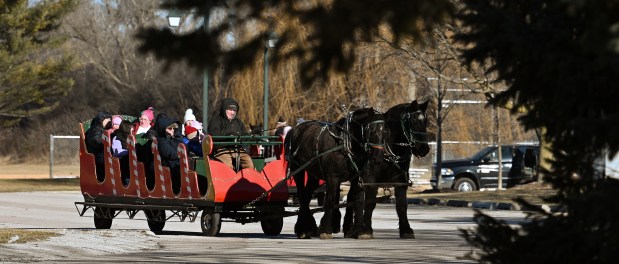 Sleigh horse-drawn carriage rides in 15 degree temperatures at Frosty Fest on Jan. 4, 2025 at Viking Park (4374 Old Grand Ave.) in Gurnee. (Karie Angell Luc/Lake County News-Sun)