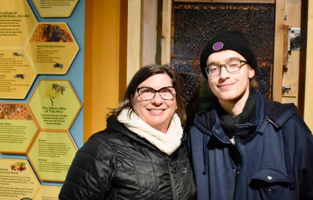 Karen Faust and her son Connor Faust, both of River Forest, take a moment Dec. 23 while checking out Brookfield Zoo Chicago's newest exhibit featuring an estimated 40,000 honey bees. (Steve Metsch/Pioneer Press)