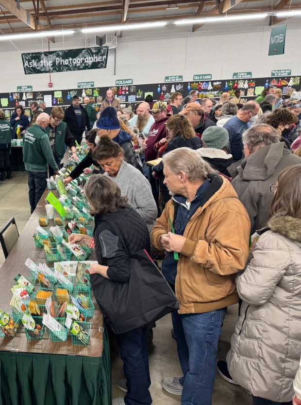 Attendees at the 19th Annual Gardening Show at the Porter County Expo Center on Saturday, Jan. 25, 2025, make their seed and bulb selections as part of their entry fee. (Deena Butterfield/for Post-Tribune)