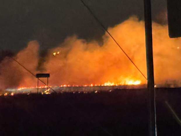 A wildfire burns through Bobolink Meadow, part of the Forest Preserves of Cook County's Bartel Grasslands complex near Tinley Park, on Jan. 27, 2025. (Renee Mason)