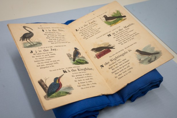 The "A, B, C of Birds," book, circa 1860s, during a planning session at the Newberry Library, on Jan. 28, 2025. "Winging It: A brief history of humanity's history with birds" will be on display in June at the Newberry Library in Chicago. (Audrey Richardson/Chicago Tribune)