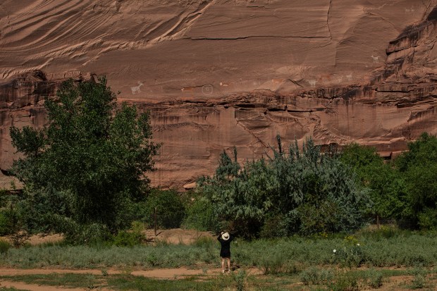 Wandering closer to a set of pictographs near Antelope House Ruin for a photo. (Derek M. Norman / The New York Times)