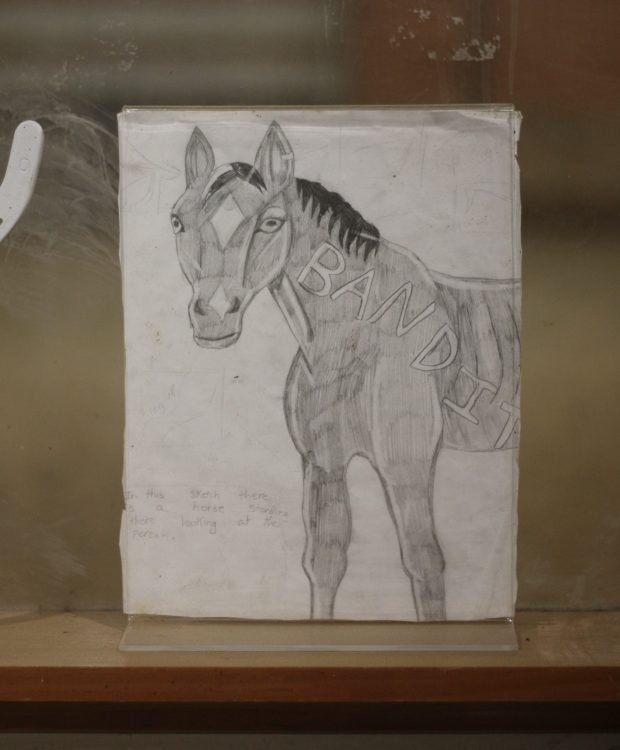 One of Emma Grzesik's drawings sits on the sill of a viewing window at Casey's Safe Haven in Maple Park, where visitors can watch the horses run in the riding arena. Grzesik, a volunteer at Casey's, died in a car crash in 2024. (Molly Morrow / The Beacon-News)