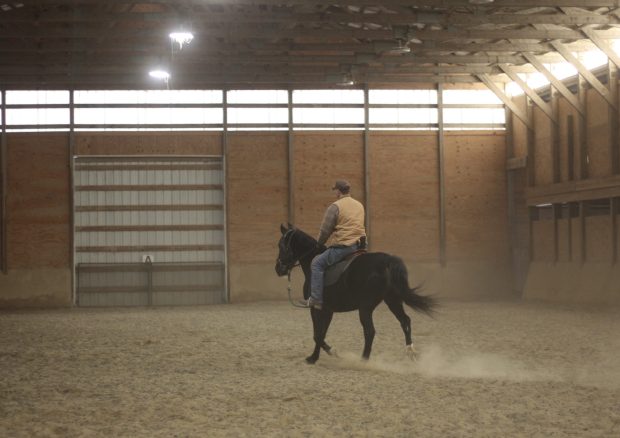 Casey's Safe Haven head trainer and barn manager Mitchell Bornstein rides Prince in the arena at Casey's in Maple Park on Jan. 27, 2025. Bornstein trains with Prince about four times a week. (Molly Morrow / The Beacon-News)