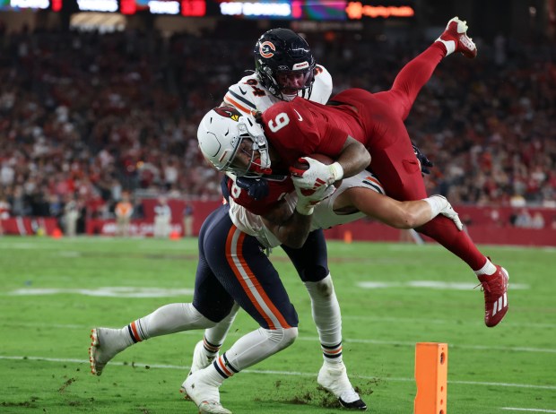 Cardinals running back James Conner dives for the end zone while Bears linebacker Jack Sanborn drives him out of bounds with defensive end Austin Booker (94) on Nov. 3, 2024, at State Farm Stadium in Glendale, Ariz. (Brian Cassella/Chicago Tribune)