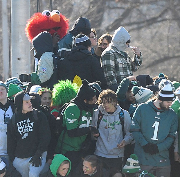 Eagles fans, including Elmo, pack the Benjamin Franklin Parkway in front of the Philadelphia Museum of Art to celebrate the team's Super Bowl victory Friday. (Pete Bannan/Media News Group)