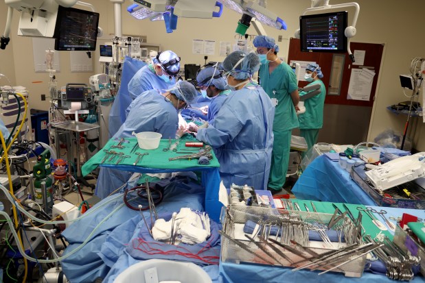 Clockwise, thoracic surgery fellows Dr. Firas Darawshi, Dr. Heechul Yang, thoracic surgeon Dr. Chitaru Kurihara, and scrub nurse Mireya Zarco preform a lung transplant on patient Brent Kenley at Northwestern Medicine on Feb. 5, 2025. Northwestern Medicine performs the highest number of lung transplants in the nation by combining cutting-edge technologies such as "lungs in a box' and "lungs in a fridge." (Antonio Perez/Chicago Tribune)