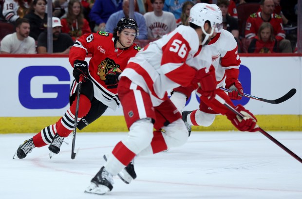 Blackhawks left wing Nick Lardis, left, skates back on defense during a preseason game against the Red Wings on Sept. 25, 2024, at the United Center. (Chris Sweda/Chicago Tribune)